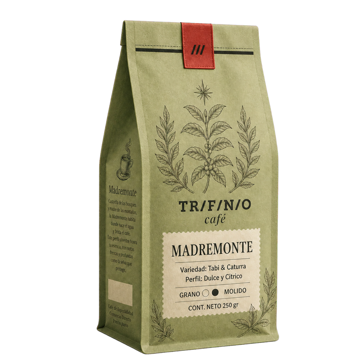 Madremonte
